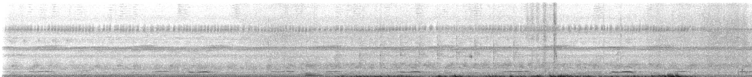 蘭嶼角鴞 - ML618304774