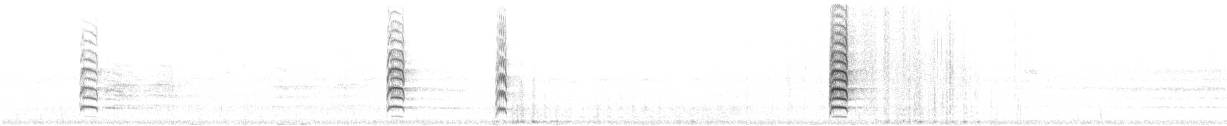Черноголовая нандая - ML618305249