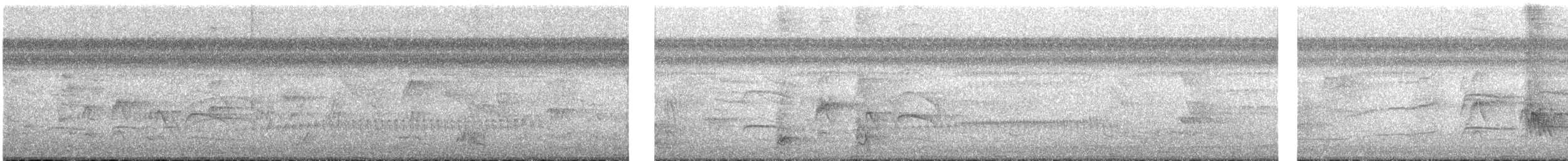 White-eared Jacamar - ML618306584