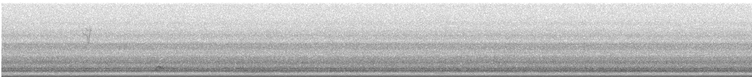 Black-crowned Night Heron - ML618309210