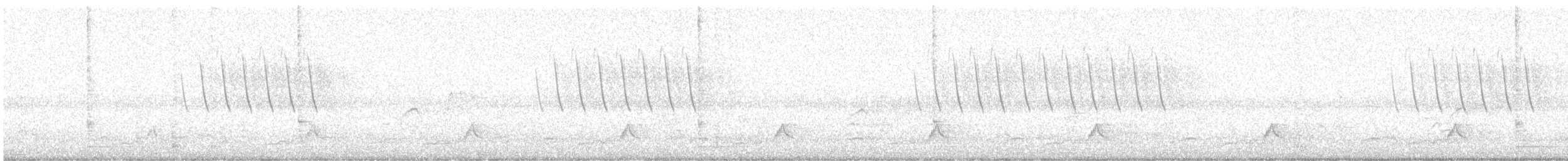 Schwarzkehl-Nachtschwalbe - ML618310911