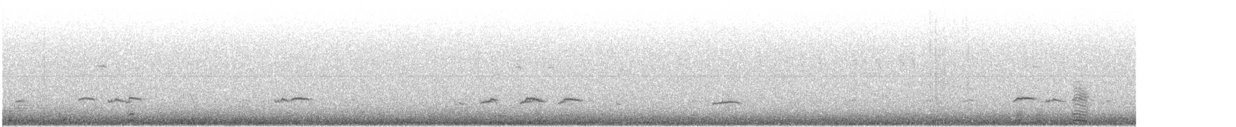 Чирянка мала (підвид crecca) - ML618311629