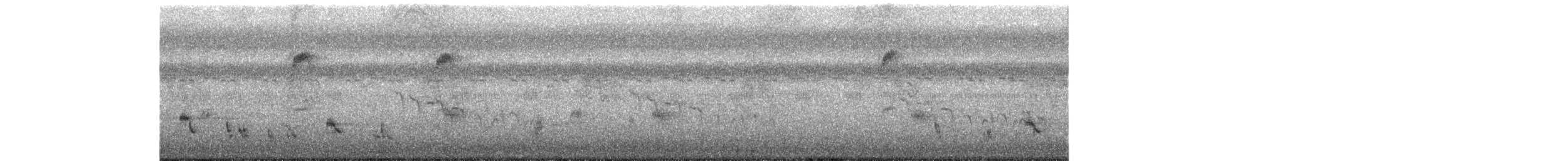 China-Rotschnabelbülbül (nigerrimus) - ML618312970