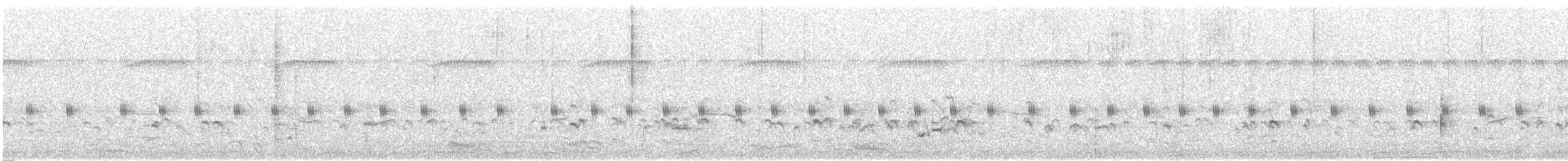 לימוזה מצויה - ML618314407