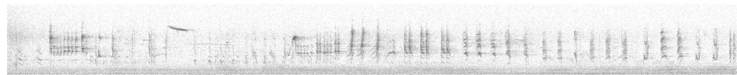 קנית קטנה - ML618315329