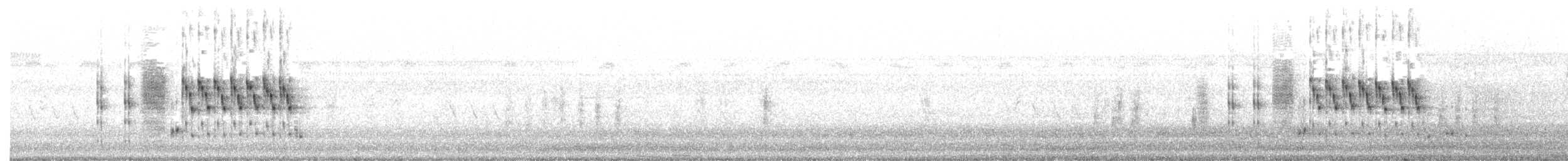 Troglodyte des marais - ML618315991