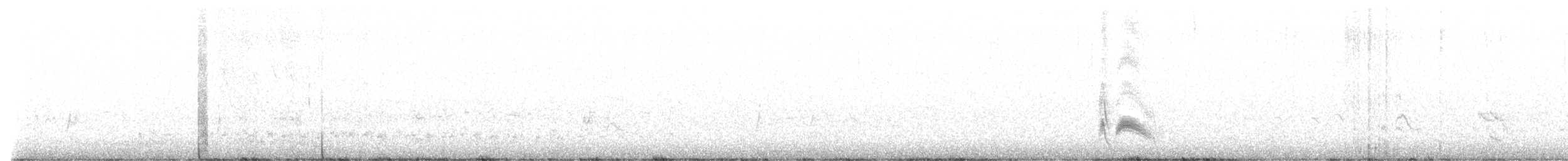 Серогрудый тиранн - ML618319200