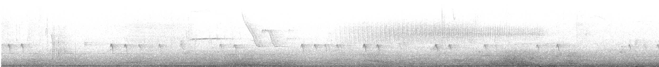 "Шишкар ялиновий (Northeastern, або тип 12)" - ML618320704
