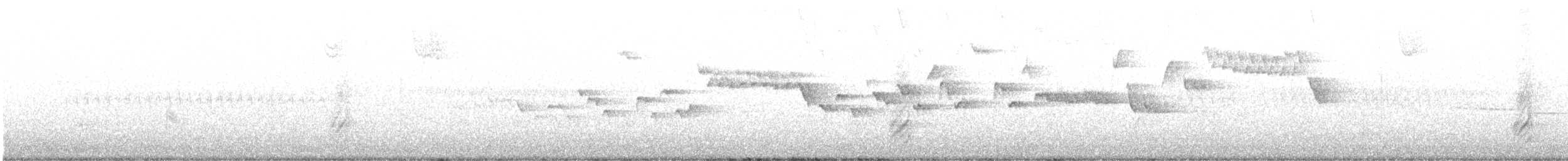 Winter Wren - ML618323340