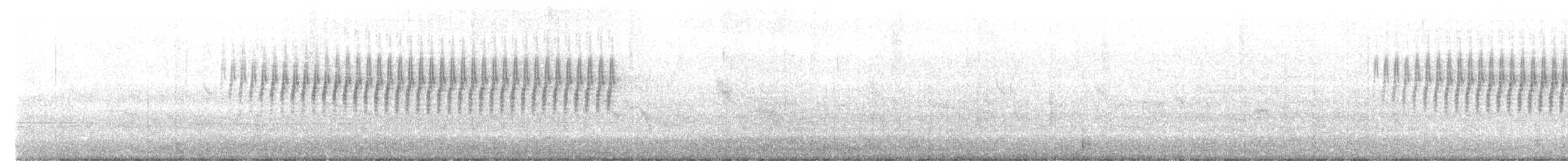 Chipping Sparrow - ML618325518