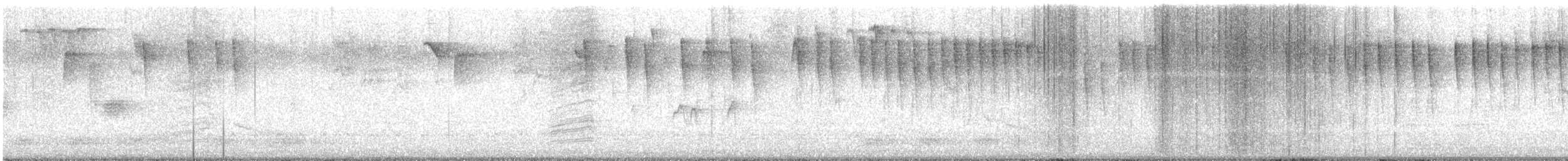 Meisenwaldsänger - ML618325573