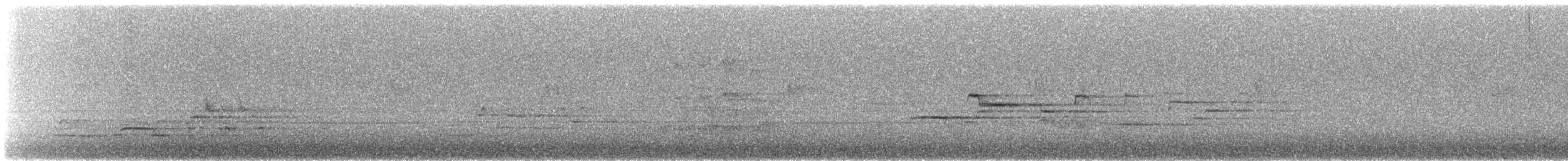 Дрізд-короткодзьоб плямистоволий - ML618329180