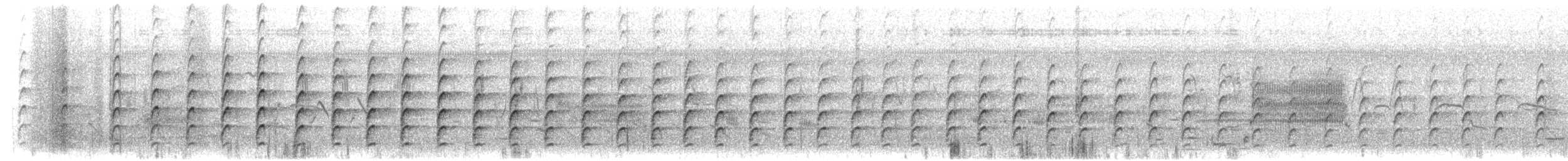 Black-necked Stilt - ML618337594