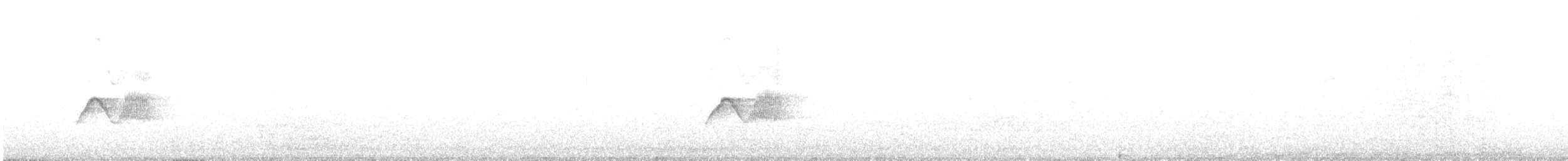 Eastern Phoebe - ML618341935