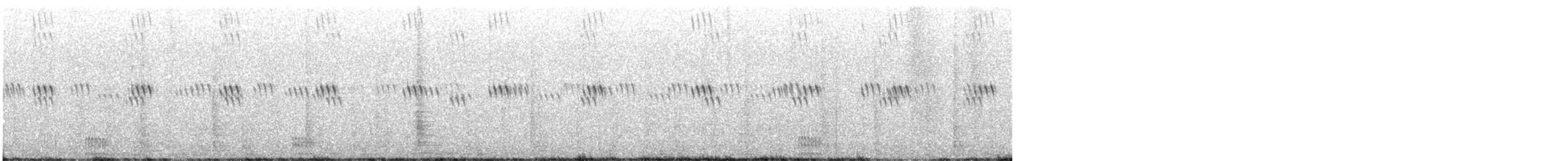 Erroia sp. - ML618344342