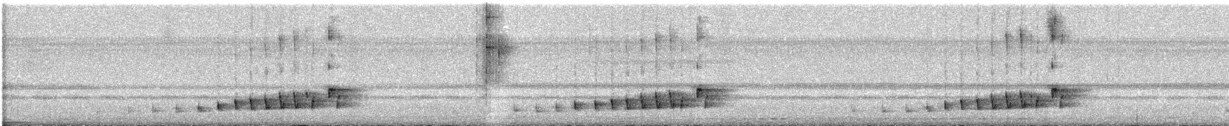 クビワヨタカ - ML618347001