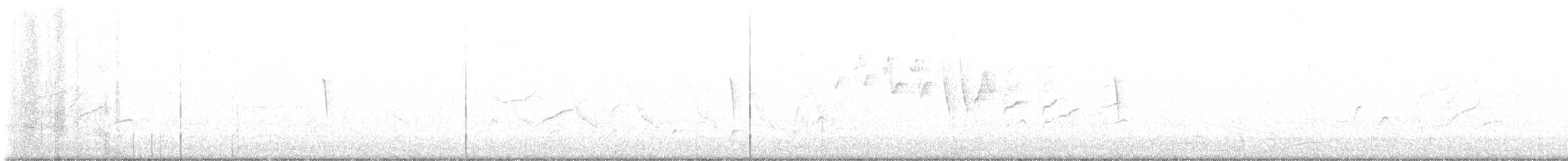 Weißbauch-Phoebetyrann - ML618350221