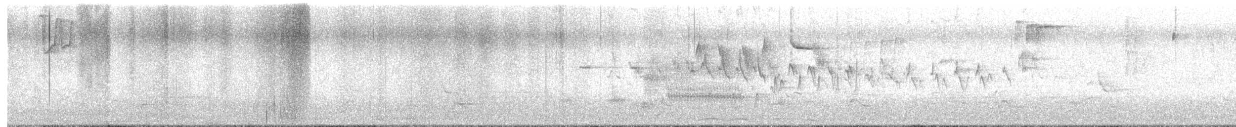 Yellow-rumped Warbler - ML618352040