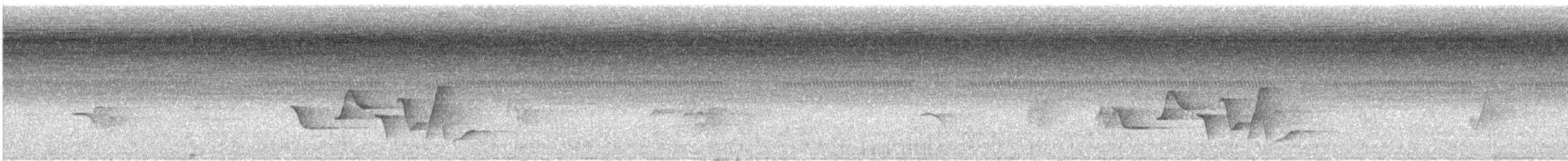 Spot-breasted Wren - ML618352773