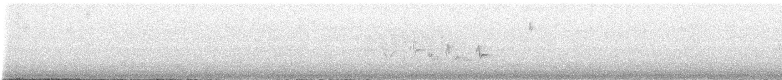 Warbling Vireo (Western) - ML618353438