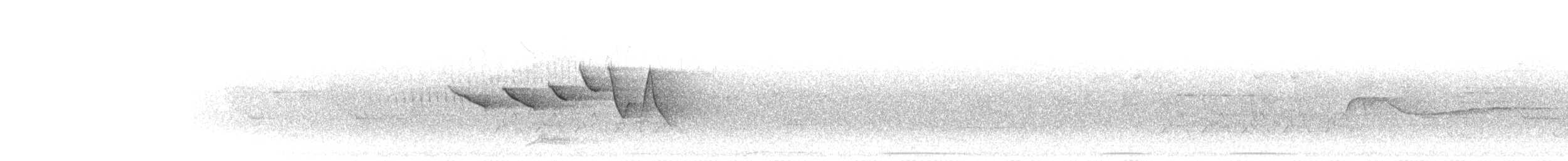 チャカブリアメリカムシクイ - ML618356056