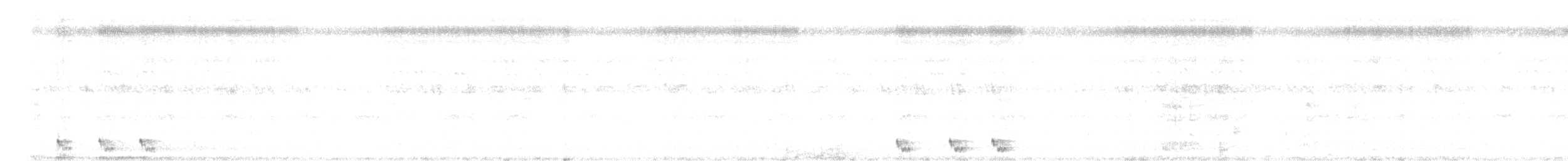 Andamanennachtschwalbe - ML618356898