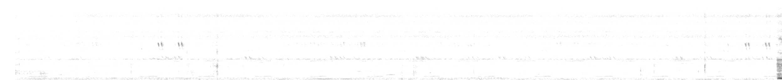 Сова-голконіг темнопера - ML618356924
