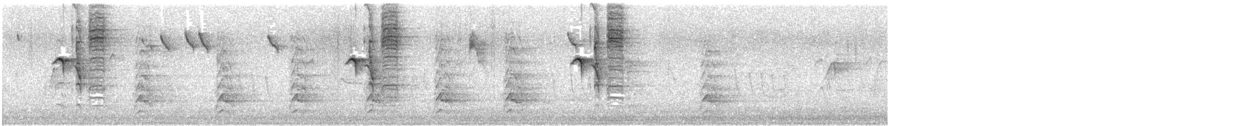 Rotschulterbussard (elegans) - ML618358059