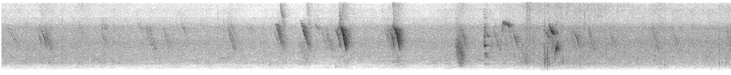 svarthodevever - ML618365619