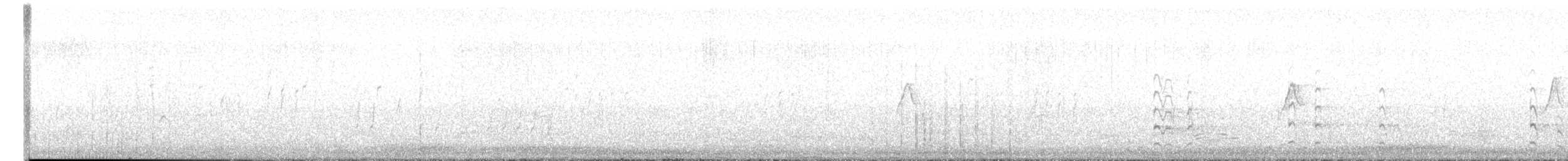 Black-tailed Godwit - ML618368231
