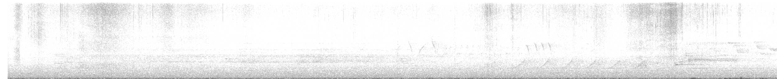 Guajolote Gallipavo - ML618369116