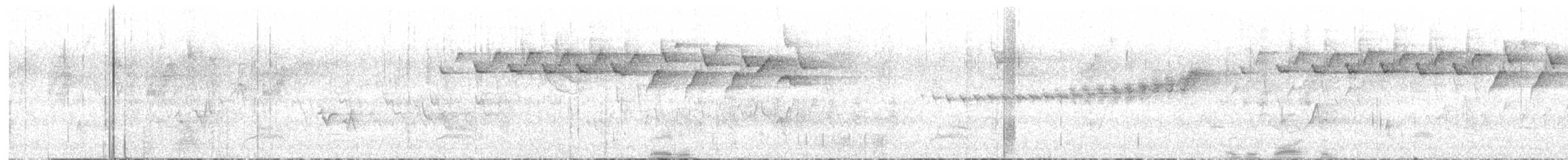 Prairie Warbler - ML618370029