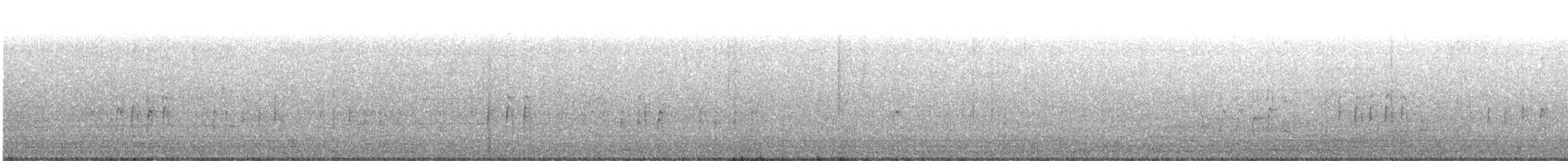 Anhinga - ML618370754