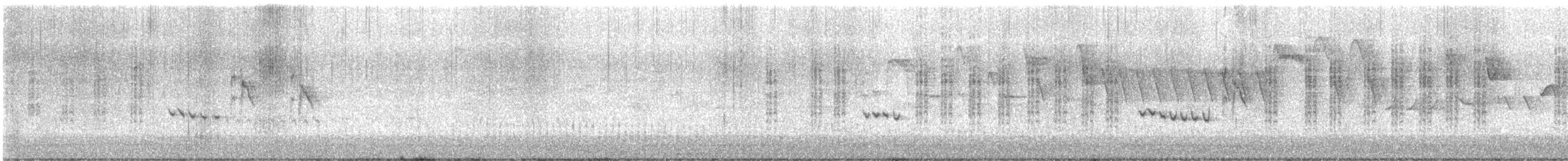 Phragmite des joncs - ML618371218