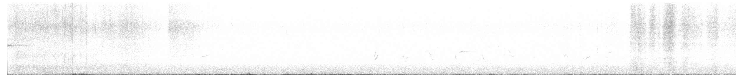 Black-throated Gray Warbler - ML618373382