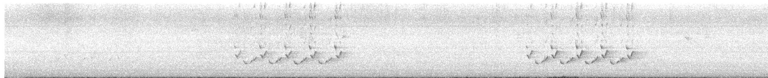 střízlík karolínský [skupina ludovicianus] - ML618379866