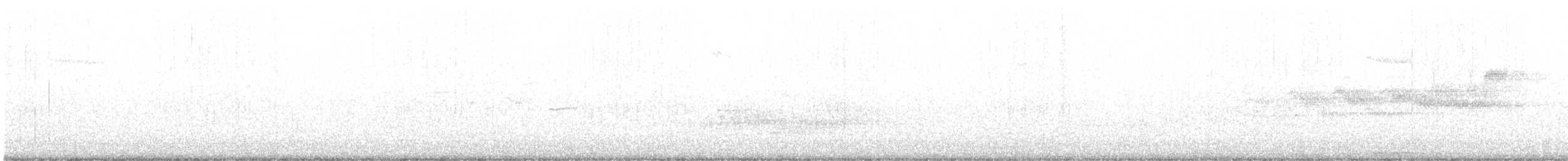 Black-throated Gray Warbler - ML618380549