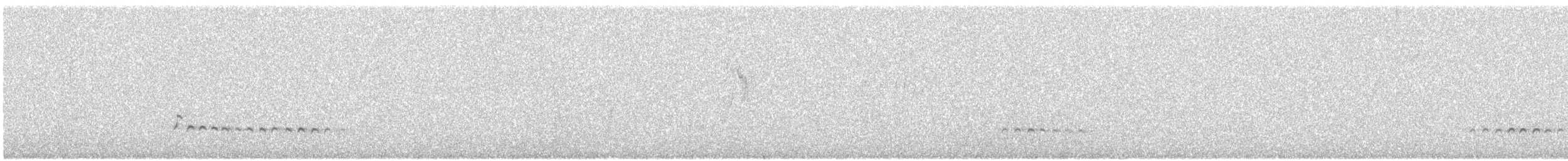 Средний кроншнеп - ML618381213