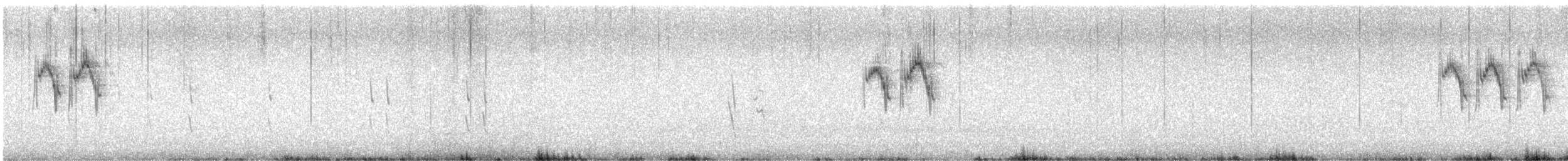 konipas luční (ssp. iberiae) - ML618384798