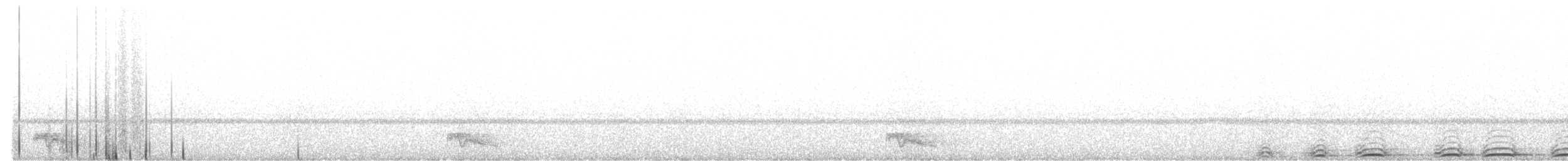 Ohrennachtschwalbe - ML618387286