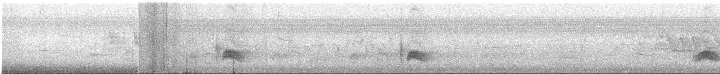 Серогрудый тиранн - ML618387297