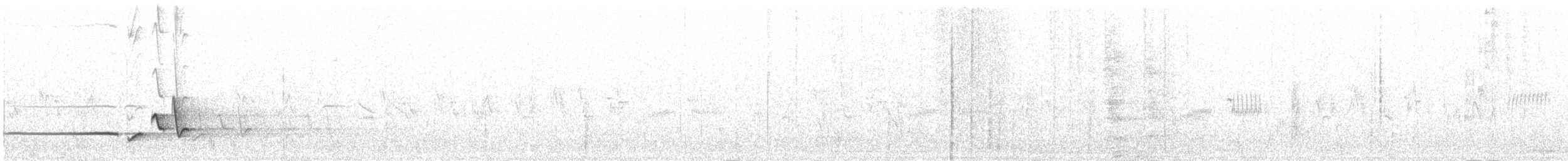 Japanese Bush Warbler - ML618393823