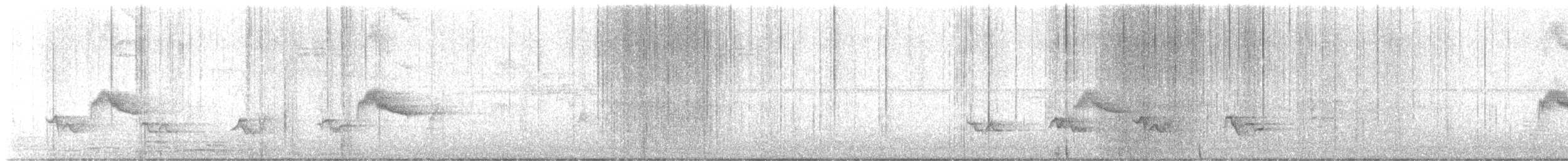 Gray-cheeked Thrush - ML618394471
