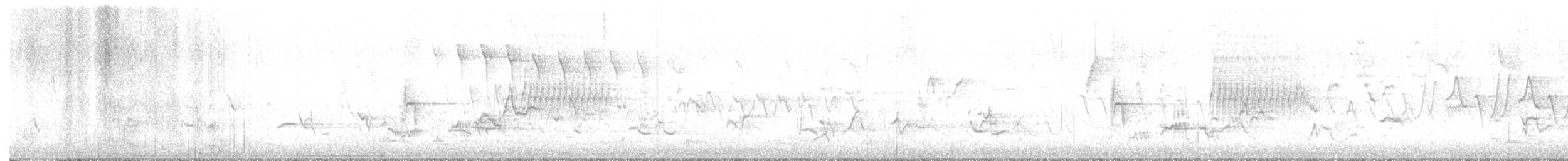Дрізд-короткодзьоб Cвенсона - ML618399077