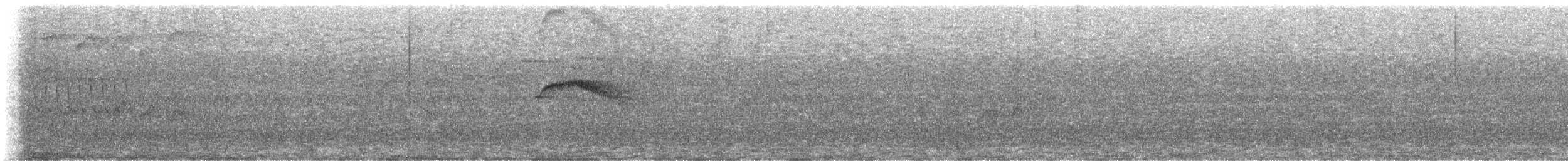 Kestane Karınlı Bülbül Tiranı - ML618401420