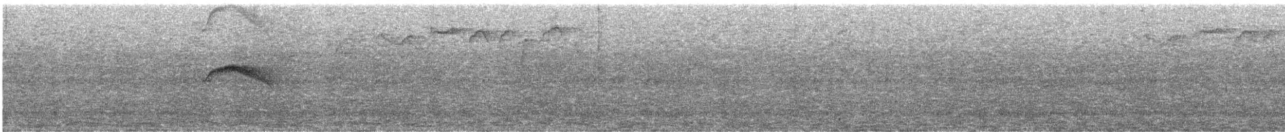 Kestane Karınlı Bülbül Tiranı - ML618401422
