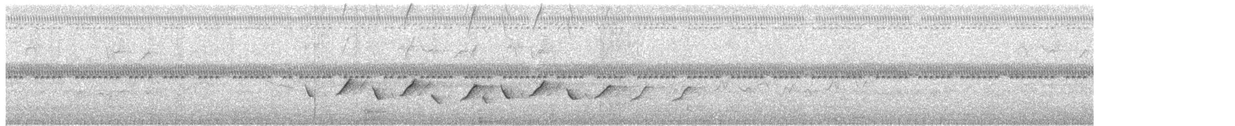 Schleiertangare - ML618401685