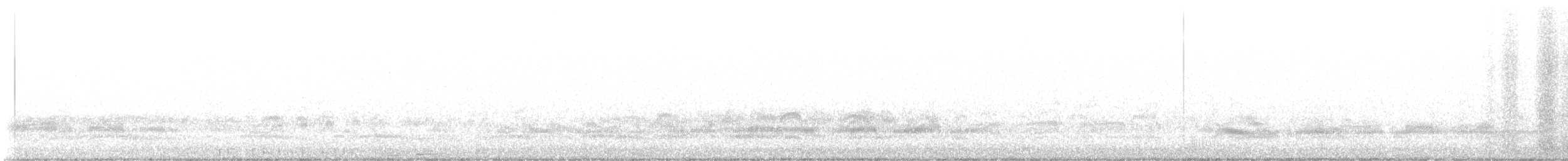 Бонапартова чайка - ML618403073