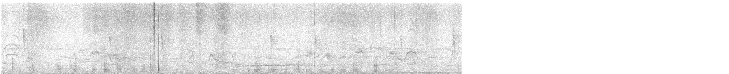 Кустарниковый скрытохвост (occidentalis) - ML618403200