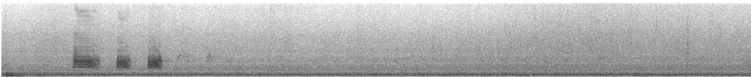 Африканский широкорот [группа afer] - ML618403525